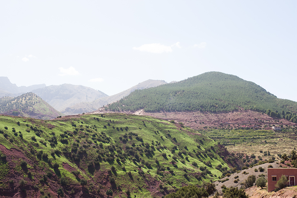 Tagesausflug ins Atlasgebirge mit Abholung in Marrakesch